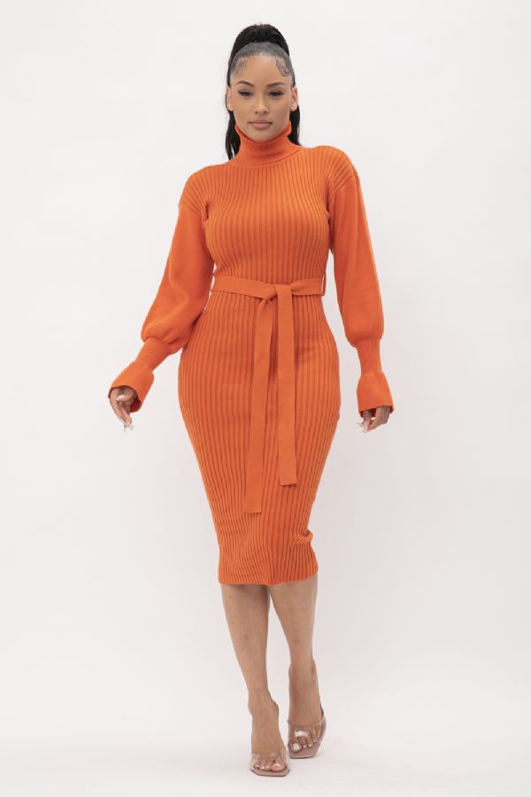 Chic Midi Dress w/ Balloon Sleeves